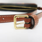 Celine Mini Camera Triomphe Shoulder Bag Pouch Brown Multicolor — view 9