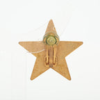 Chanel Coco Mark Star 01 P Earrings GP Black — view 6