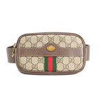 Gucci Belt Bag Ophidia Pouch