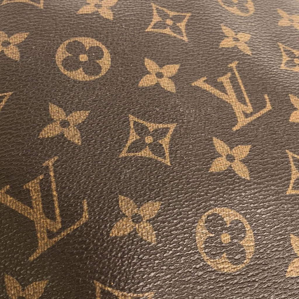 Louis Vuitton Monogram Odeon PM Shoulder Bag — view 6