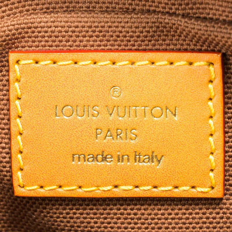 Louis Vuitton Shoulder Bag Danube Brown — view 9
