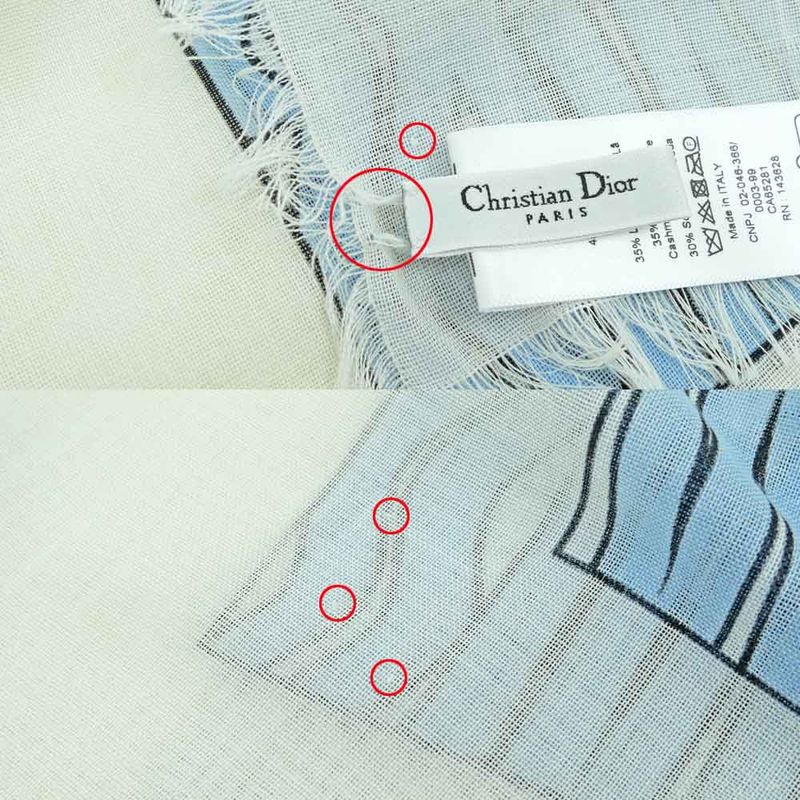 Dior Shawl Logo Light Blue Ivory Wool Cashmere Silk Large Fringe — view 9