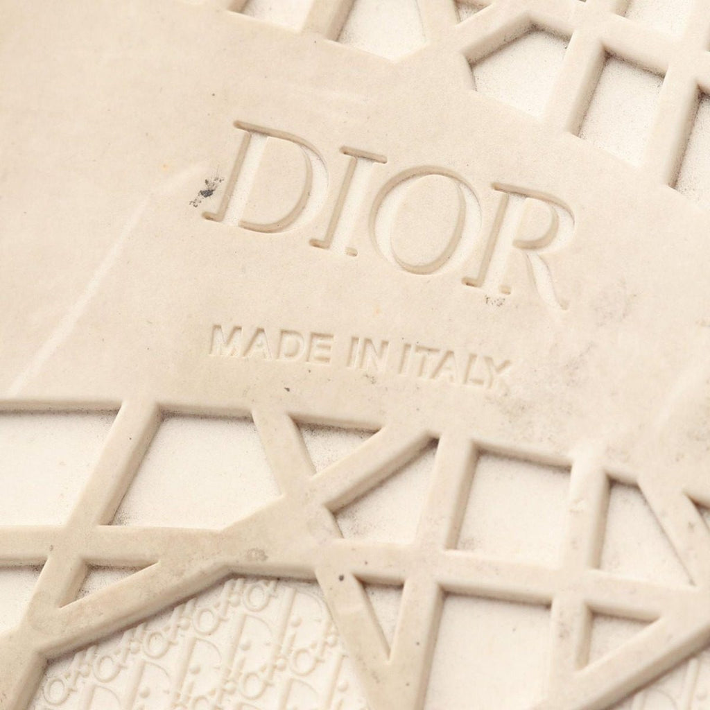 Dior Sneakers Oak Canvas Suede — view 7