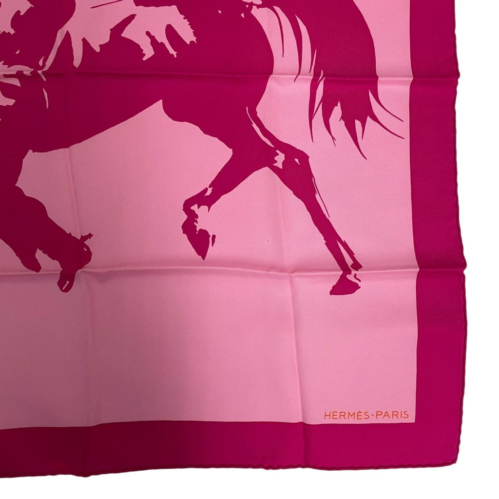 Hermes Silk Scarf Zingaro Tokyo Pink — view 5