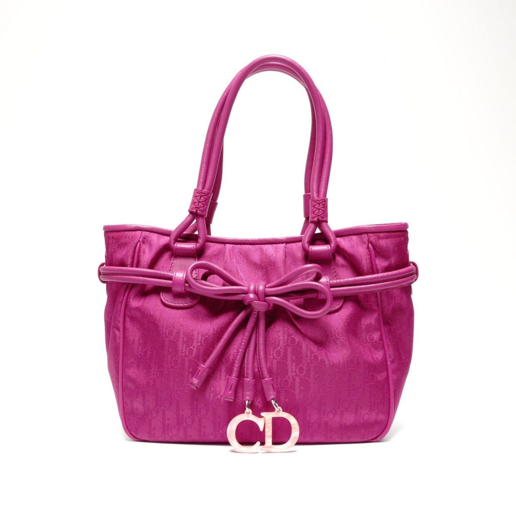 Dior Handbag la Oblique Canvas Trotter