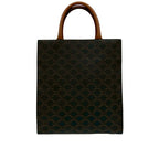 Celine Triomphe Vertical Cabas Small Leather 2-Way Shoulder Bag Black