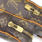 Louis Vuitton Monogram Mini Amazon Shoulder Bag — view 5
