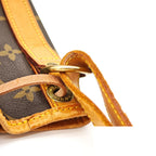 Louis Vuitton Noe Monogram Bucket Bag Brown