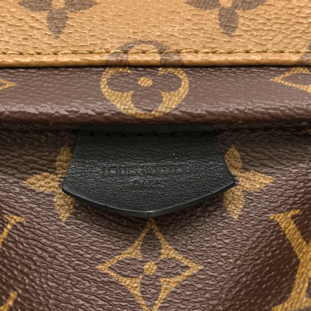 Louis Vuitton Monogram Reverse Palm Springs Backpack Mini Sac — view 4