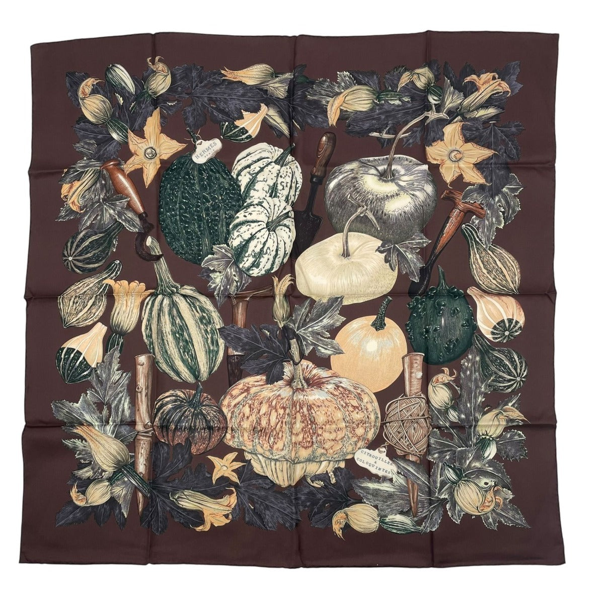 Hermes Scarf Silk Carre 90 Citrouilles ET Coloquintes Pumpkin and Colocint Brown