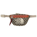 Gucci Waist Bag North Face Collaboration