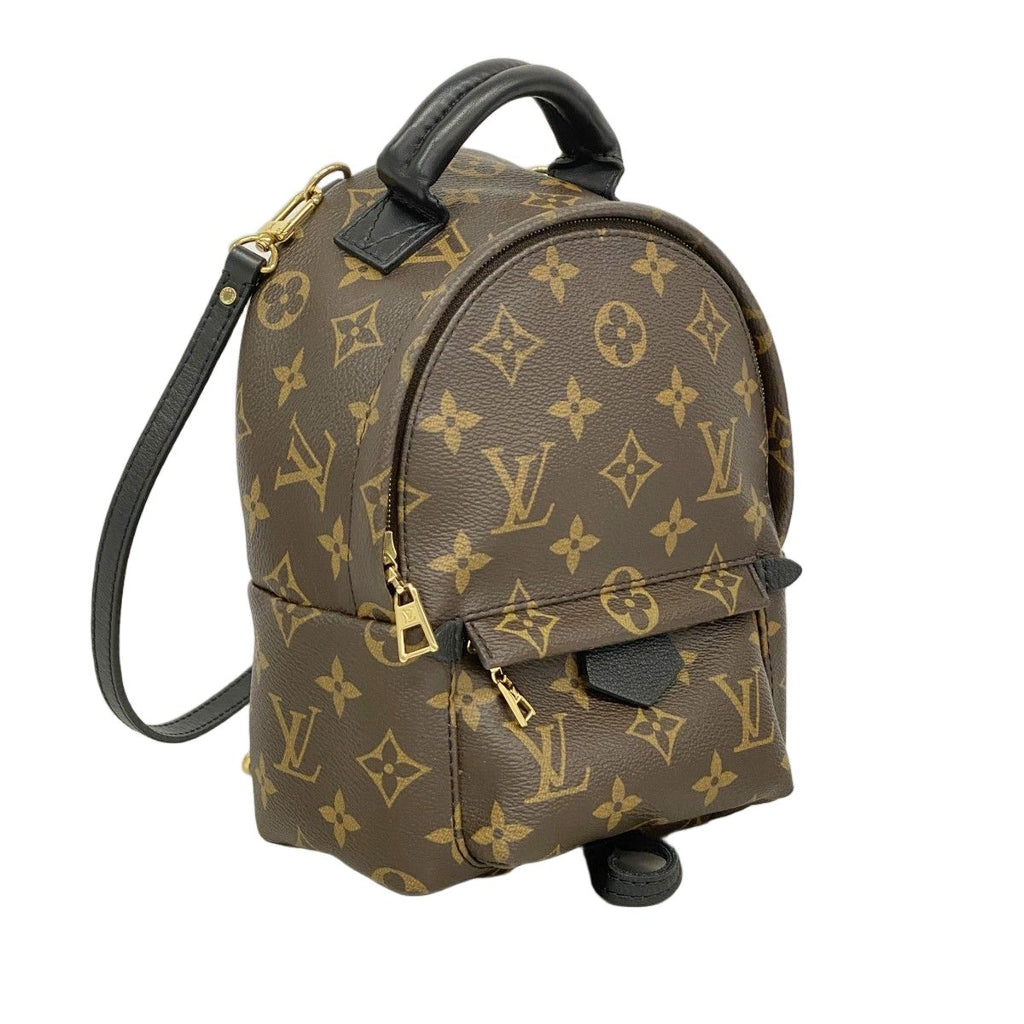 Louis Vuitton Backpack Monogram Palm Springs Mini Brown — view 2