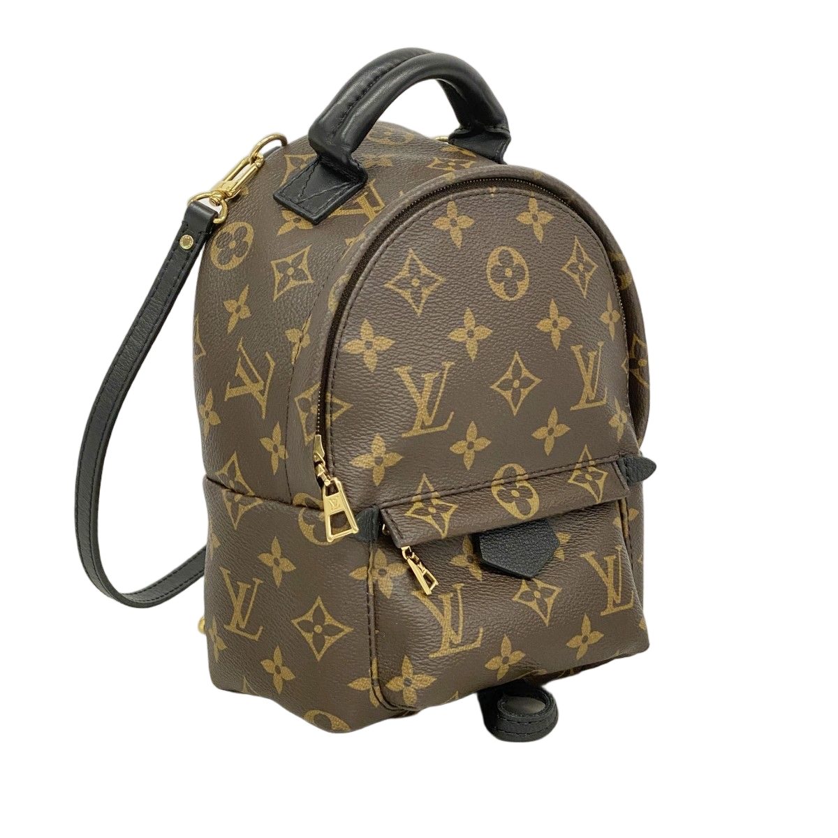 Louis Vuitton Backpack Monogram Palm Springs Mini Brown — view 2