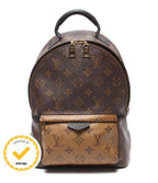 Louis Vuitton Backpack Palm Springs PM Monogram