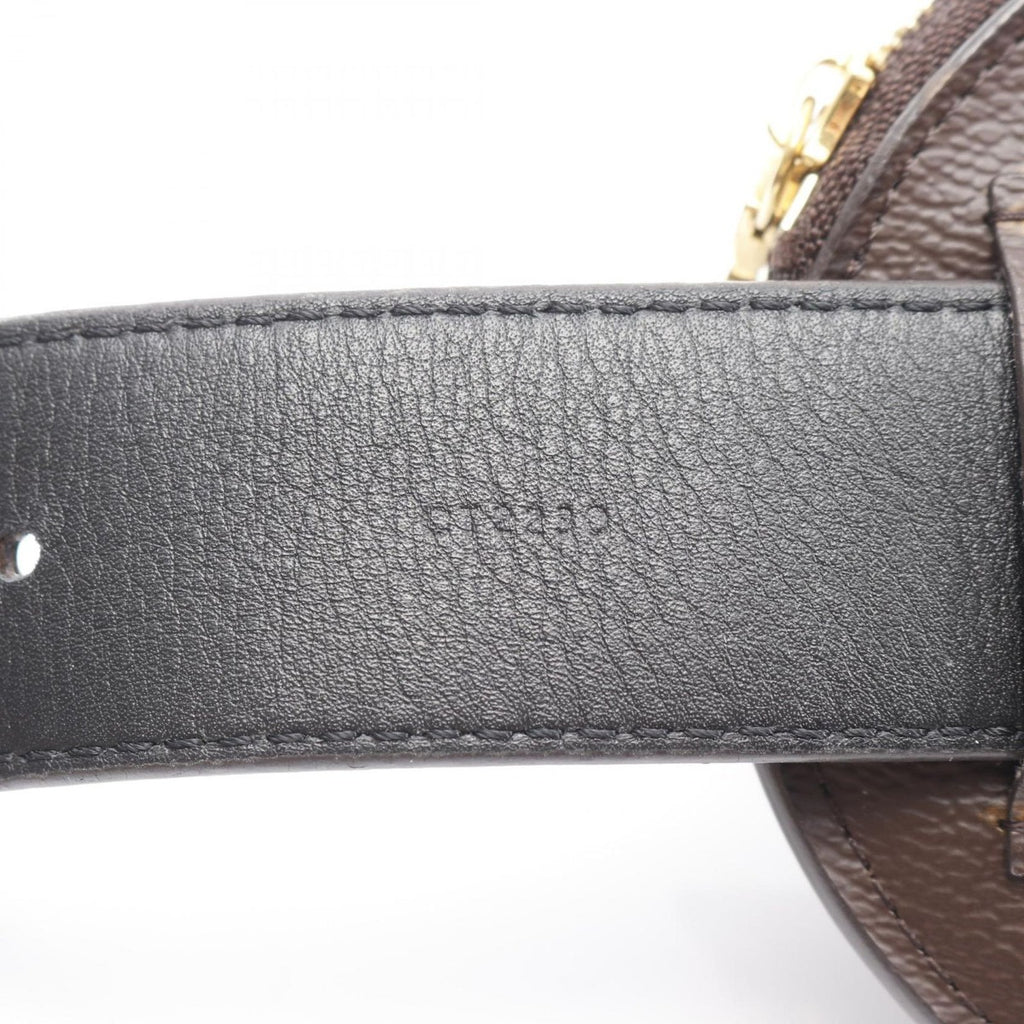 Louis Vuitton Waist Bag Ceinture Daily Multi Pocket Canvas — view 6