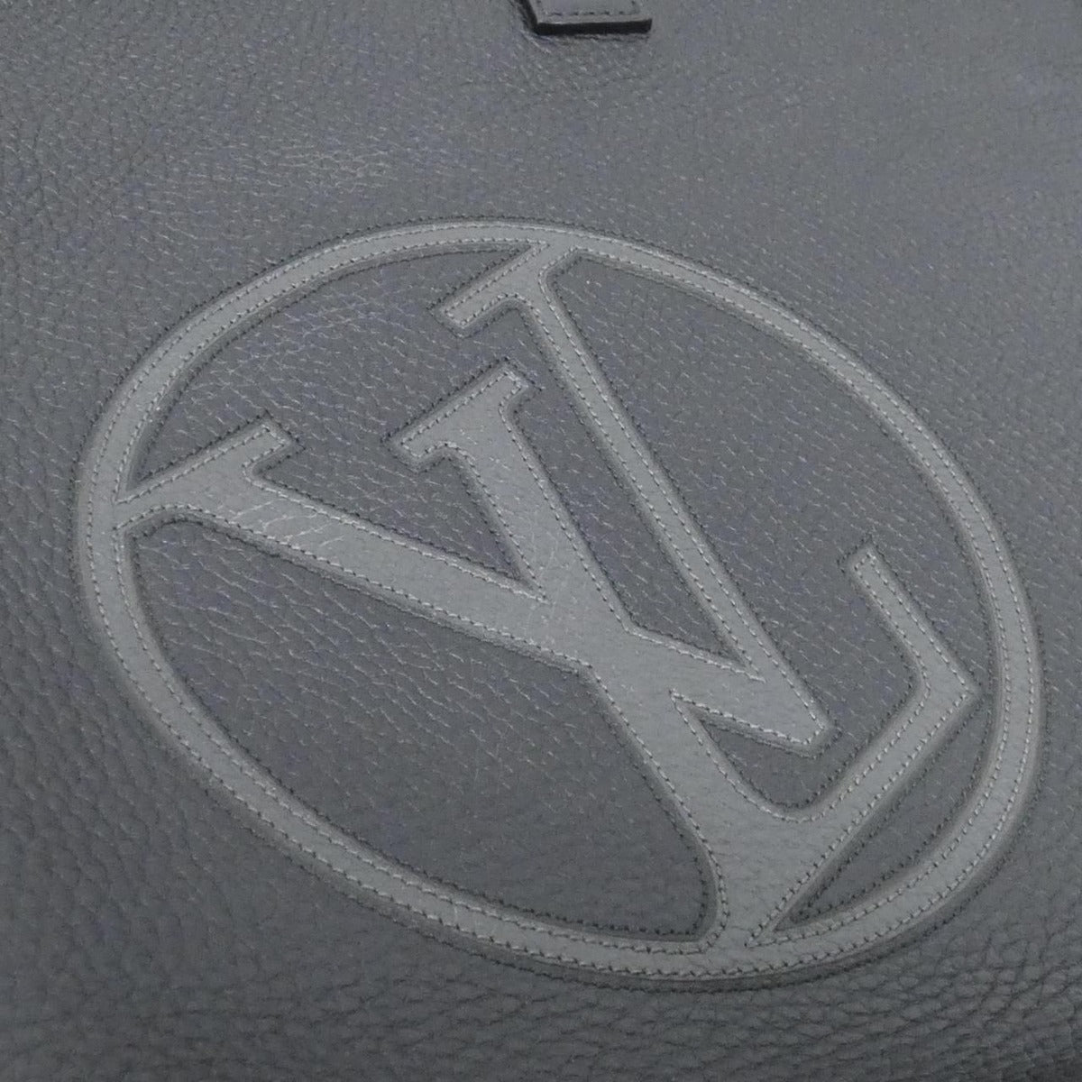 Louis Vuitton Taurillon Hippo Light Shoulder Bag — view 5