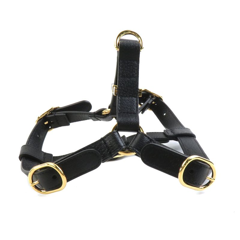 Gucci Dog Harness — view 5