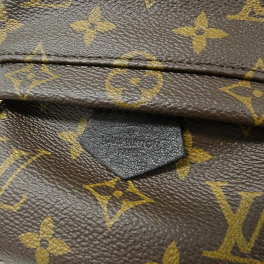 Louis Vuitton Monogram Palm Springs Backpack Mini Sac — view 4