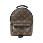 Louis Vuitton Monogram Palm Springs Backpack Mini Sac