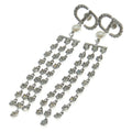 Dior CD Logo Rhinestone Pearl Chien Delia Earrings Silver