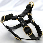 Gucci Harness Black Interlocking Never — view 6