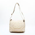 Chanel Shoulder Bag Suede CC Logo Flap Chain