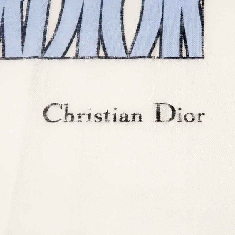 Dior Shawl Logo Light Blue Ivory Wool Cashmere Silk Large Fringe — view 7