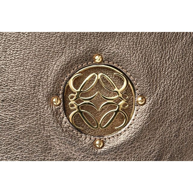 Loewe Handbag Bag Anagram Leather Chien Pan — view 9
