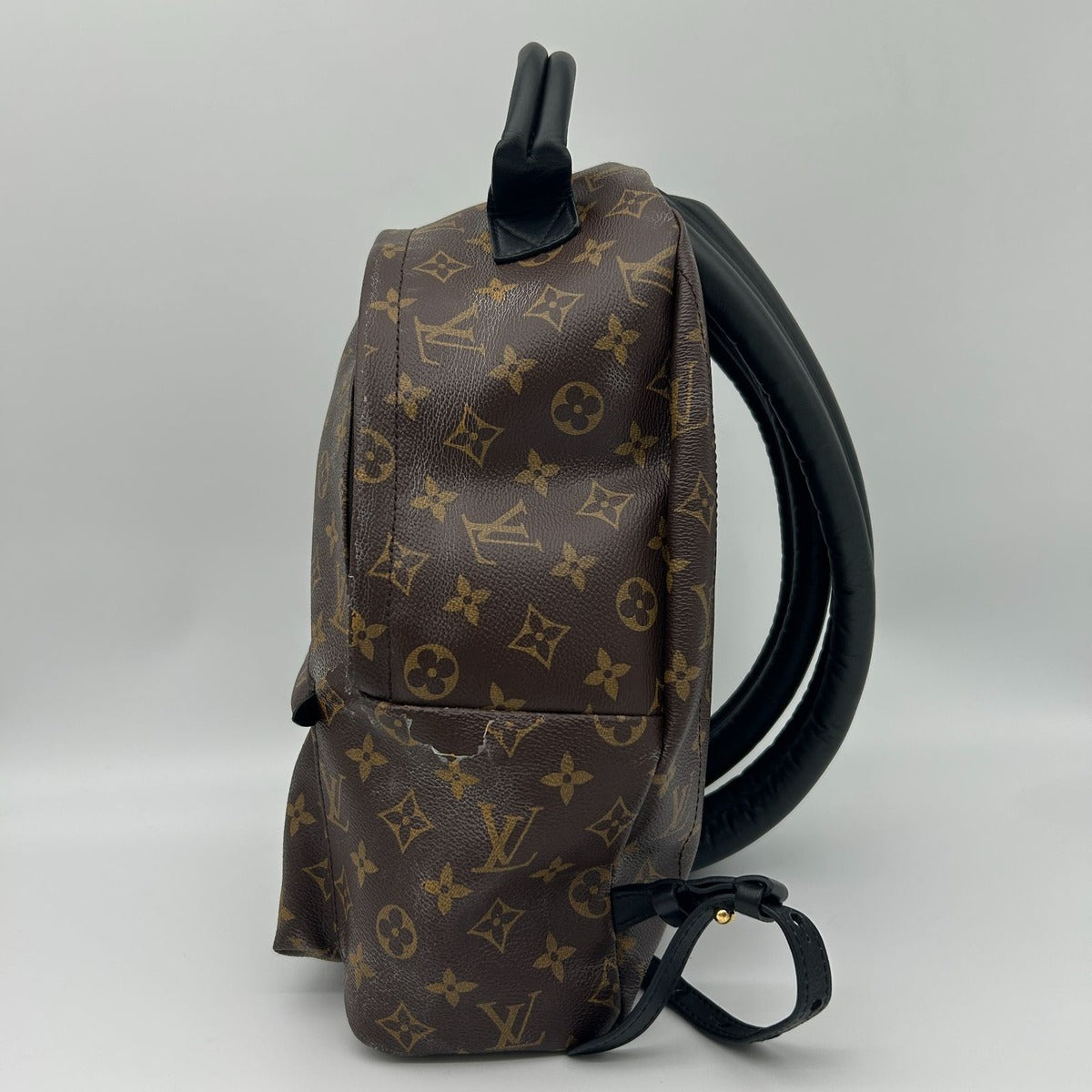Louis Vuitton Palm Springs Backpack MM Sac — view 4