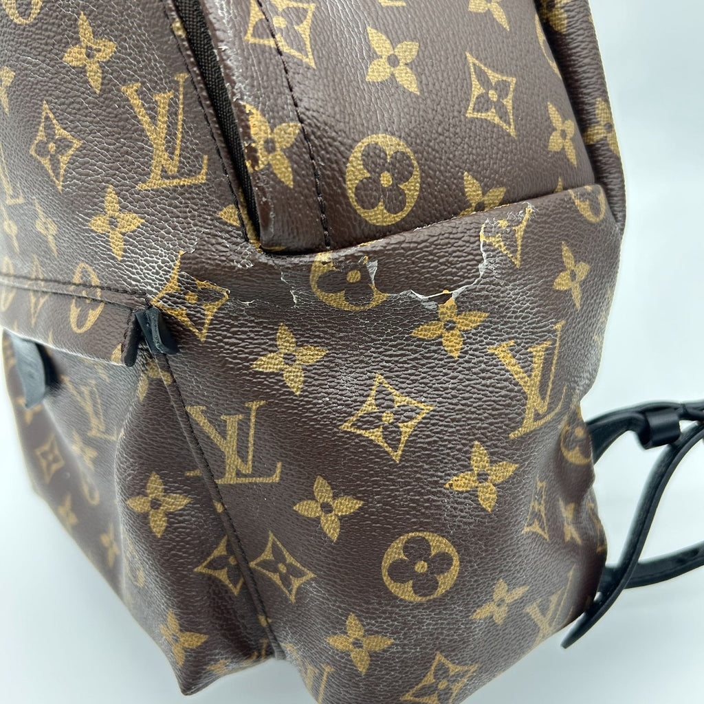 Louis Vuitton Palm Springs Backpack MM Sac — view 5