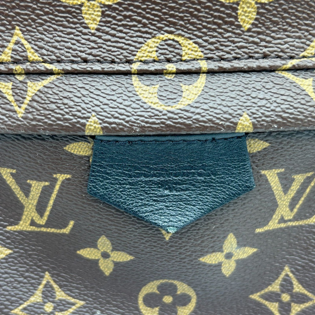 Louis Vuitton Palm Springs Backpack MM Sac — view 6