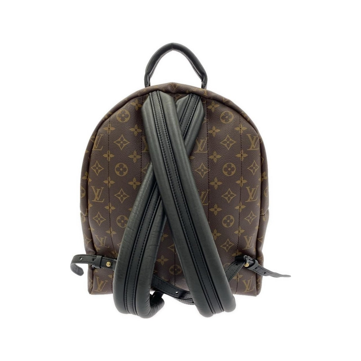 Louis Vuitton Monogram Palm Springs Backpack MM — view 2
