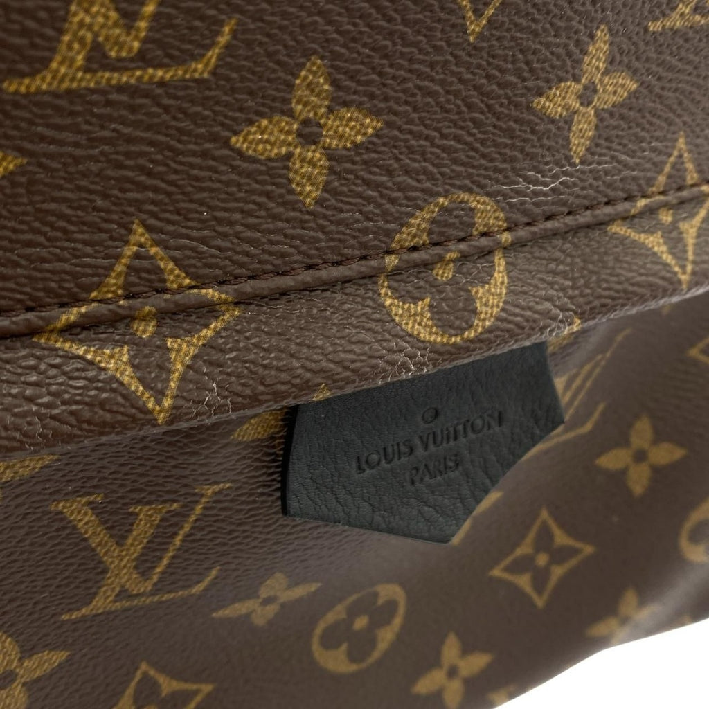 Louis Vuitton Monogram Palm Springs Backpack MM — view 4