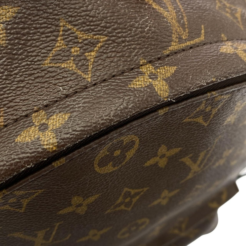 Louis Vuitton Monogram Palm Springs Backpack MM — view 5