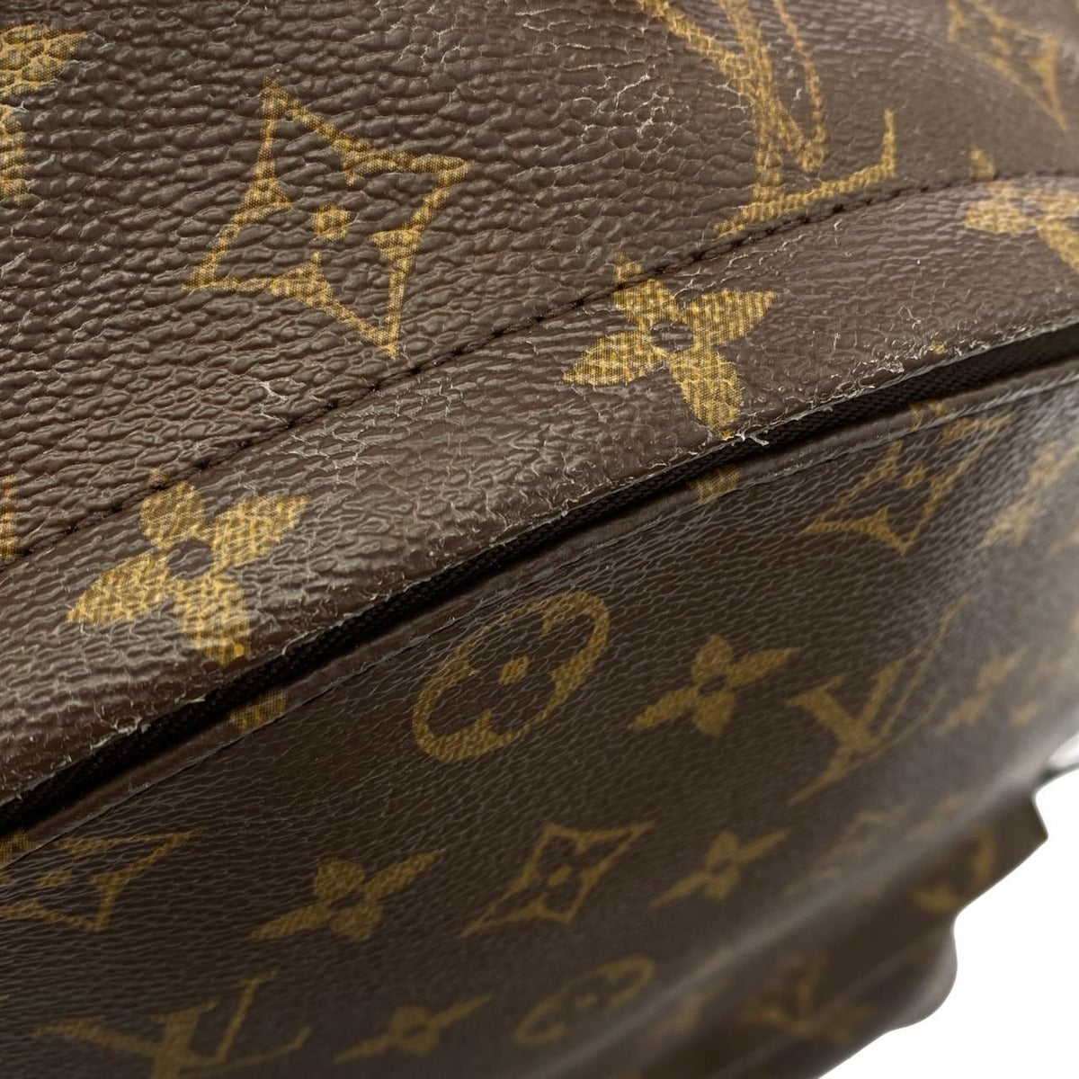 Louis Vuitton Monogram Palm Springs Backpack MM — view 5