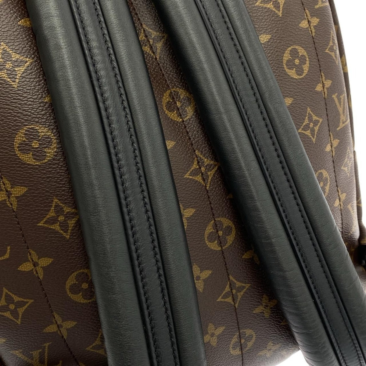 Louis Vuitton Monogram Palm Springs Backpack MM — view 7
