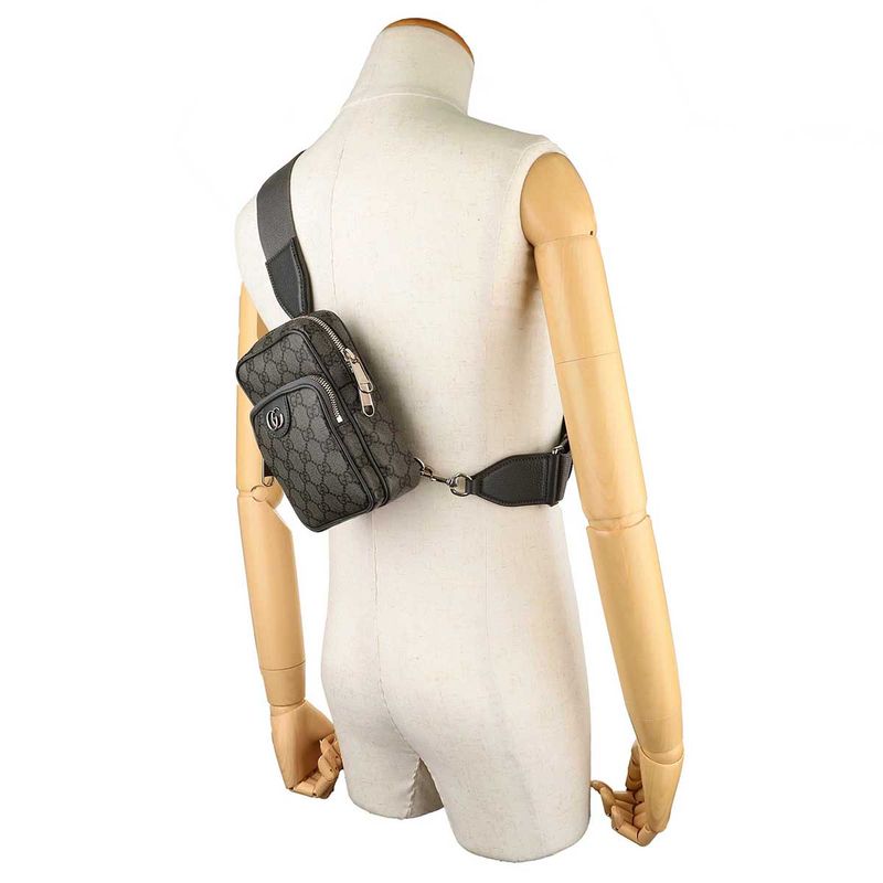 Gucci Waist Bag Body Ophidia Gray — view 6