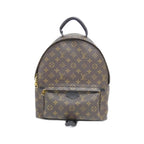 Louis Vuitton Monogram Palm Springs Backpack MM