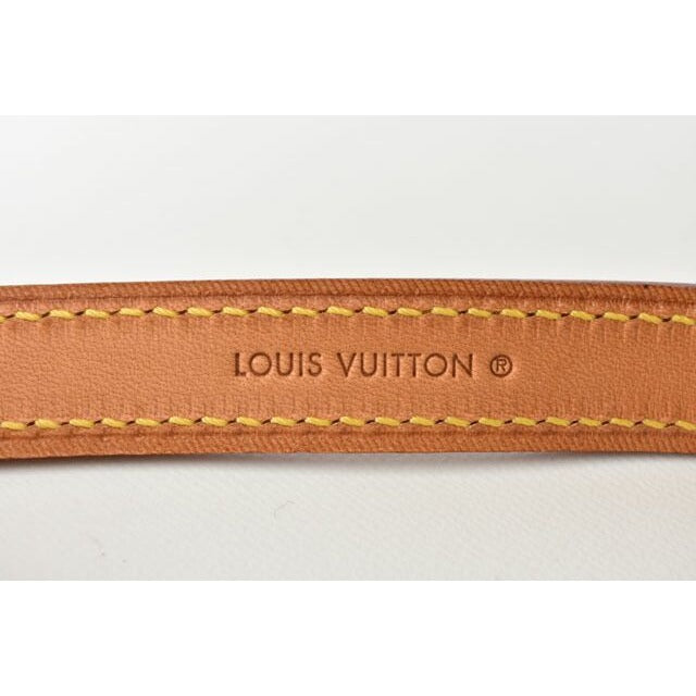 Louis Vuitton Pet Supplies Medium Shape Dog Lead Less Baxter MM — view 4