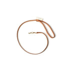 Louis Vuitton Pet Supplies Medium Shape Dog Lead Less Baxter MM — view 9