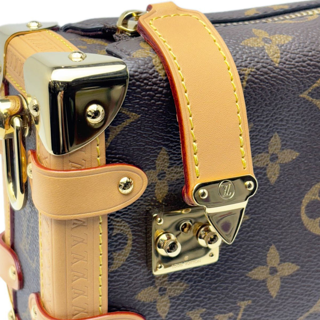 Louis Vuitton Monogram Shoulder Side Trunk PM — view 8