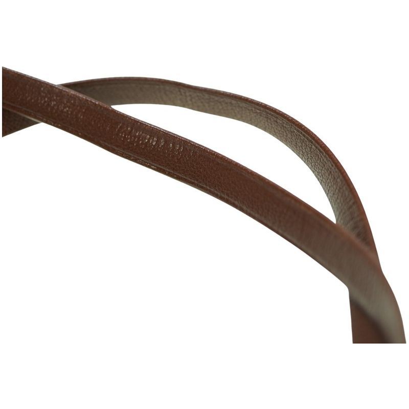 Hermes Lucy PM Tote Bag Niloticus Leather Brown 0125 — view 9