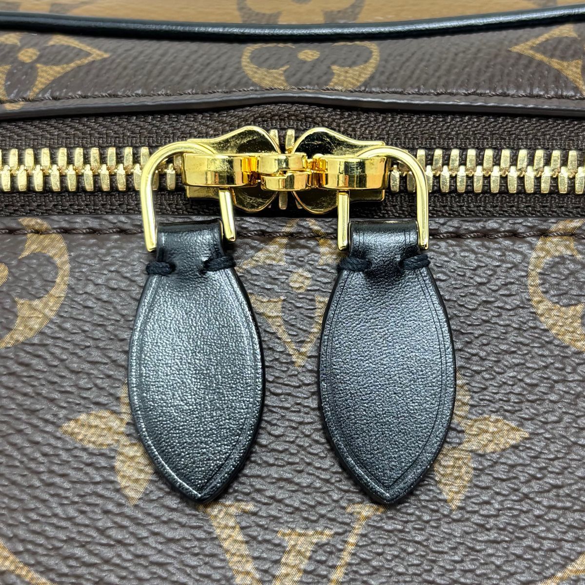 Louis Vuitton Monogram Reverse Vanity NV PM Chain Shoulder Bag — view 3