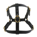 Gucci Dog Harness — view 4