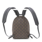 Louis Vuitton Monogram Reverse Palm Springs Backpack PM — view 3