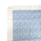 Dior Shawl Logo Light Blue Ivory Wool Cashmere Silk Large Fringe — view 3