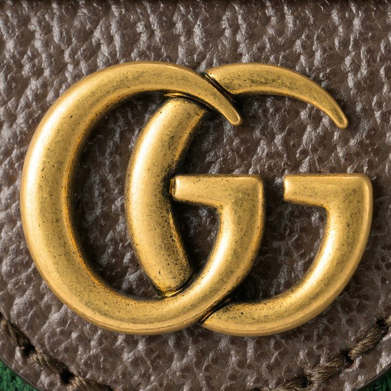 Gucci Waist Bag Body Ophidia Brown — view 7