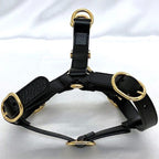 Gucci Harness Black Interlocking Never — view 3
