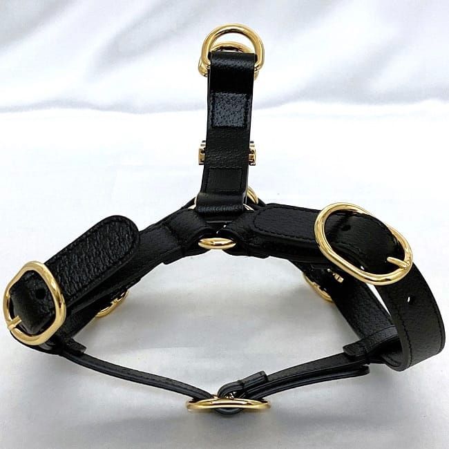 Gucci Harness Black Interlocking Never — view 3