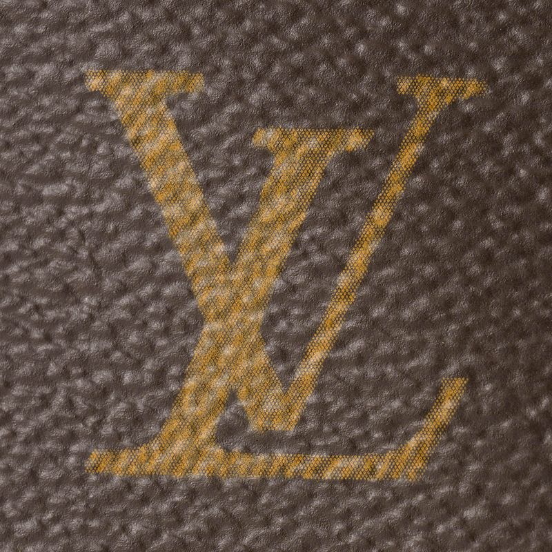 Louis Vuitton Tote Bag Piano Brown — view 6